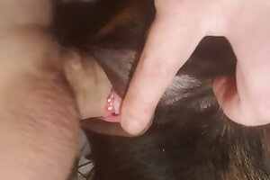 hardcore bestiality,closeup zoo porn